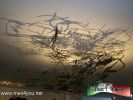 Filename=25-09-13-3.jpg
Filesize=136KiB
Dimensions=1024x768
Date added=Sep 25, 2013 25-09-13-3.jpg