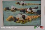 Filename=26-07-18-02.jpg
Filesize=141KiB
Dimensions=1152x768
Date added=Jul 26, 2018 26-07-18-02.jpg