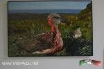 Filename=26-07-18-03.jpg
Filesize=190KiB
Dimensions=1152x768
Date added=Jul 26, 2018 26-07-18-03.jpg