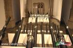 Filename=26-07-2023-06.jpg
Filesize=160KiB
Dimensions=1152x768
Date added=Aug 07, 2023 26-07-2023-06.jpg