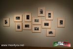Filename=26-08-14-2.jpg
Filesize=61KiB
Dimensions=1024x683
Date added=Aug 26, 2014 26-08-14-2.jpg