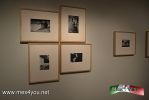 Filename=26-08-14-3.jpg
Filesize=51KiB
Dimensions=1024x683
Date added=Aug 26, 2014 26-08-14-3.jpg