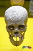 Filename=26-10-18-03.jpg
Filesize=128KiB
Dimensions=768x1152
Date added=Oct 26, 2018 26-10-18-03.jpg