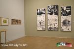Filename=26-10-2023-05.jpg
Filesize=148KiB
Dimensions=1152x768
Date added=Oct 29, 2023 26-10-2023-05.jpg