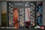 Filename=27-06-2023-06.jpg
Filesize=121KiB
Dimensions=1152x768
Date added=Jun 27, 2023 27-06-2023-06.jpg