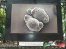 Filename=27-07-15-5~0.jpg
Filesize=170KiB
Dimensions=1024x768
Date added=Jul 27, 2015 27-07-15-5~0.jpg