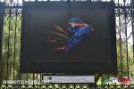 Filename=28-05-19-02.jpg
Filesize=174KiB
Dimensions=1152x768
Date added=May 28, 2019 28-05-19-02.jpg