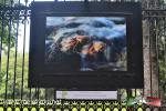 Filename=28-05-19-03.jpg
Filesize=272KiB
Dimensions=1152x768
Date added=May 28, 2019 28-05-19-03.jpg