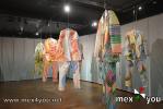 Filename=28-11-24-1.JPG
Filesize=293KiB
Dimensions=1619x1080
Date added=Nov 29, 2024 28-11-24-1.JPG
