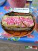 Filename=29-01-15-2.jpg
Filesize=142KiB
Dimensions=768x1024
Date added=Jan 29, 2015 29-01-15-2.jpg