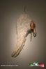 Filename=29-08-14-1.jpg
Filesize=55KiB
Dimensions=683x1024
Date added=Aug 29, 2014 29-08-14-1.jpg