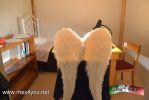 Filename=29-08-14-4.jpg
Filesize=72KiB
Dimensions=1024x683
Date added=Aug 29, 2014 29-08-14-4.jpg