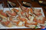 Filename=29-08-2023-04.jpg
Filesize=191KiB
Dimensions=1152x768
Date added=Aug 30, 2023 29-08-2023-04.jpg