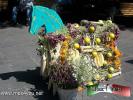 Filename=30-10-14-3.jpg
Filesize=215KiB
Dimensions=1024x768
Date added=Oct 30, 2014 30-10-14-3.jpg