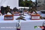 Filename=31-07-2022-10.jpg
Filesize=144KiB
Dimensions=1152x768
Date added=Jul 31, 2022 31-07-2022-10.jpg