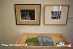 Filename=31-08-2021-03.jpg
Filesize=101KiB
Dimensions=1152x768
Date added=Sep 02, 2021 31-08-2021-03.jpg