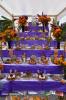 Filename=31-10-2021-08.jpg
Filesize=238KiB
Dimensions=768x1152
Date added=Oct 31, 2021 31-10-2021-08.jpg