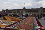 Filename=31-10-2021-14~0.jpg
Filesize=280KiB
Dimensions=1152x768
Date added=Oct 31, 2021 31-10-2021-14~0.jpg