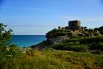Filename=Zona_Arqueologica_de_Tulum_Foto_Mauricio_Marat_INAH.jpg
Filesize=169KiB
Dimensions=1366x911
Date added=Mar 16, 2019 Zona_Arqueologica_de_Tulum_Foto_Mauricio_Marat_INAH.jpg
