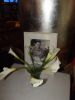 Filename=diego.jpg
Filesize=169KiB
Dimensions=1152x1536
Date added=Sep 02, 2011 diego.jpg