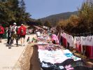 Filename=monarca_santuario.jpg
Filesize=208KiB
Dimensions=1067x800
Date added=Mar 02, 2006 monarca_santuario.jpg