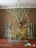 Filename=14-08-13-5.jpg
Filesize=192KiB
Dimensions=768x1024
Date added=Aug 14, 2013 14-08-13-5.jpg