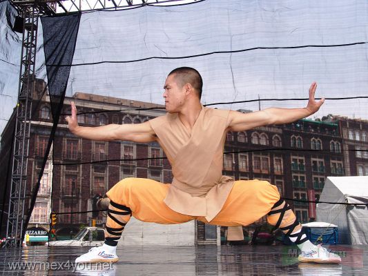 Kung Fu ShaolÃ­n en la Ciudad de MÃ©xico / Kung Fu ShaolÃ­n in Mexico City 2007 (01-08)
El pasado Domingo 29 de Julio se llevÃ³ a cabo una demostraciÃ³n de Kung-fu ShaolÃ­n en el ZÃ³calo de la Ciudad de MÃ©xico.

The past Sunday 29th July was carried out a demonstration of Kung-fu ShaolÃ­n in the ZÃ³calo of the Mexico City.
Keywords: kung fu shaolin artes marciales experimenting china ciudad mexico city