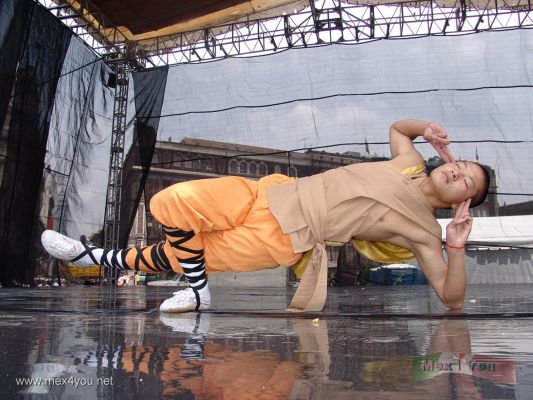 Kung Fu ShaolÃ­n en la Ciudad de MÃ©xico / Kung Fu ShaolÃ­n in Mexico City 2007 (05-08)
Que tal esta demostraciÃ³n de concentraciÃ³n del dolor sobre el cuerpo humano.

What's about  this demonstration of concentration of the pain on the human body.
Keywords: kung fu shaolin artes marciales experimenting china ciudad mexico city