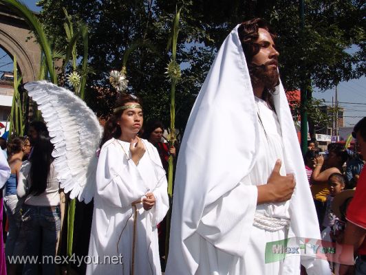 Domingo de Ramos / Palm Sunday 2009 (01-07)
El sÃ bado 4 de abril se llevÃ² a cabo el tradicional Domingo de Ramos en la delegaciÃ²n Iztapalapa con la representaciÃ²n de pasajes de la vida de JesÃ¹s, como la entrada de Jesucristo a Jerusalem. Esta es la representaciÃ²n nÃ¹mero 166 y es una de las mÃ s famosas del paÃ¬s entre las cuales tambiÃ¨n estÃ n la de Taxco y la de San Luis PotosÃ¬.


On Saturday, April 4 was conducted the traditional Palm Sunday in the Iztapalapa delegation representing passages in the life of Jesus, as the entry of Jesus to Jerusalem. This representation is the number 166
Keywords: domingo ramos palm sunday iztapalapa semana santa holy week easter pascua
