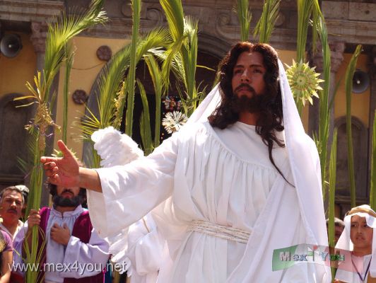 Domingo de Ramos / Palm Sunday  2009 (05-07)
El actor AdÃ n VillagrÃ n el cual representa a cristo y que ademÃ s es muy alto:  1.90 m se entrena para llevar a cabo este papel con una gran exigencia fÃ¬sica y mental. 

Actor Adam VillagrÃ¡n which represents Christ and is also very high: 1.90 m are trained to perform this role with a demanding physical and mental.
Keywords: domingo ramos palm sunday iztapalapa semana santa holy week easter pascua