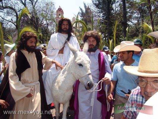 Domingo de Ramos / Palm Sunday  2009 (06-07)
A la salida del Templo de la Cuevita el actor que representa a JesÃ¹s monta un burro blanco y parte por las principales calles de la delegaciÃ²n Iztapalapa seguido , por los nazarenos y precedido por la imÃ gen del SeÃ±or de la Cuevita. Todo esto se lleva a cabo ante un fuerte dispositivo que evita que la gente se acerque al actor, sobre todo los fotÃ²grafos. 

At the exit of the Temple of Cuevita actor representing Jesus riding a white donkey and left for the main streets of the Iztapalapa delegation followed by the Nazarenes and preceded by the image of the Lord of Cuevita. All this takes place before a device that prevents strong that people approaching the actor, especially photographers.
Keywords: domingo ramos palm sunday iztapalapa semana santa holy week easter pascua