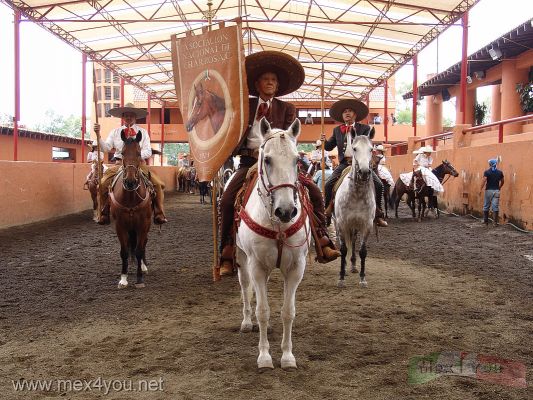 Charreada en honor a Pedro Infante / Charreada in honor to Pedro Infante 2007 ( 02 - 11 )
El evento comenzÃ³ con el tradicional desfile de los charros y amazonas al son de la Marcha de Zacatecas.

The event began with the traditional parade of the charros and amazons with  the  Zacatecas March music.
Keywords: charreada charros charro asociacion nacional de charros charreria mexicana