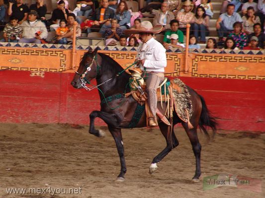Charreada en honor a Pedro Infante / Charreada in honor to Pedro Infante 2007 ( 08 - 11 )
Los jinetes mostraron todo su habilidad y valor en este estupendo espectÃ¡culo.

The riders showed all to their ability and encourage in this wonderful spectacle
Keywords: charreada charros charro asociacion nacional de charros caballo caballos charreria mexicana