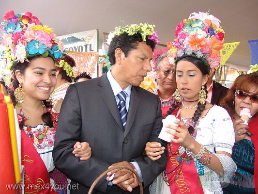 La Flor mÃ¡s Bella del Ejido / The Most Flower of Ejido Final 2008  (03-10)
El Delegado y las Flores 2007 recorrieron los puestos colocados en la plaza principal de Xochimilco y que abarcan desde las tradicionales nieves, cerÃ¡mica, ganadera, etc. 

The Delegate and 2007 Flowers did a tour around the stands, placed in the main square of Xochimilco from the traditional ice creams, ceramics, livestock, and so on.
Keywords: flor flower ejido xochimilco mas bella uriel gonzalez monzon nieves nieve ice cream