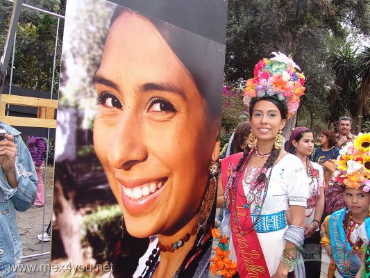 La Flor mÃ¡s Bella del Ejido / The Most Flower of Ejido Final 2008  (08-10)
TambiÃ©n pudo ver reflejado su rostro la Ganadora del primer lugar en el 2007. Bertha Leticia Ayala.

He also saw his face reflected the winner of the first place in 2007. Bertha Leticia Ayala.
Keywords: flor flower ejido xochimilco mas bella