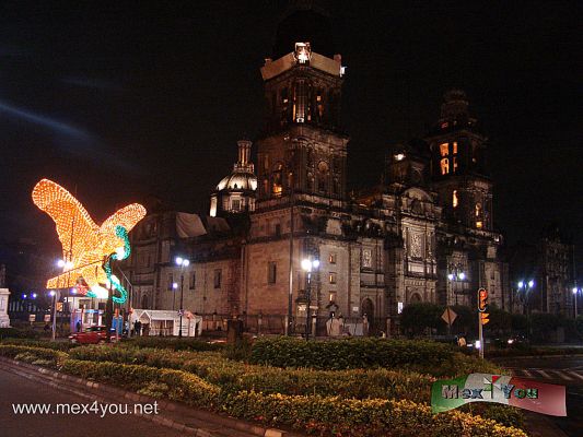 Decoraciones Patrias (04-04)
Keywords: patriotic decorations september independence day independencia zocalo angel tricolor lights light