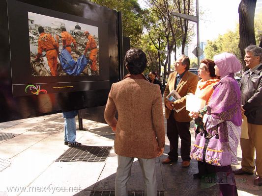 ExposiciÃ³n / Exhibition Indonesia (03-03)
Esta hermosa exposiciÃ³n estarÃ¡ hasta el dÃ­a 30 de noviembre en el Paseo de la Reforma, le recomendamos asistir y disfrutar de las imÃ¡genes donde nuestro paÃ­s tambiÃ©n estÃ¡ presente, como aquellas donde los famosos "topos" fueron a este paÃ­s a ayudar.

This beautiful exhibition will be until the day on November 30 on the Paseo de la Reforma, you are advised to attend and enjoy the pictures where our country is also present, such as those where the famous "moles" were in this country to help.

Keywords: indonesia paseo reforma avenue