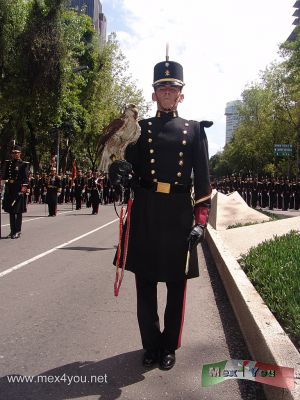 Desfile Militar / Military Parade 2009 (03-19)
Por calles como Madero, 5 de mayo, y uniÃ©ndose por la avenida JuÃ¡rez el contingente marcha por las calles hasta llegar a el Paseo de la Reforma. Al paso de cada contingente el pÃºblico asistente aplaudÃ­a y hasta pirÃ³pos les mandaban. 
Keywords: militar desfile parade military army ejercito mexicano mexican fiestas patrias party ciudad mexico city 16 septiembre september