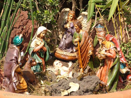 Nacimientos en la Ciudad de MÃ©xico /  Nativity Scenes in Mexico City (03-07) 2008
En algunos de los nacimientos presentados este aÃ±o vemos un nacimiento conteniendo muchos otros como el caso de este elaborado por la asociaciÃ³n de Red de Productores FlorÃ­colas de la Ciudad de MÃ©xico. 

In some of births this year we submitted a birth containing many others like the case of this produced by the Association of Producers Network flower of Mexico City.
Keywords: nacimientos nativity scenes paseo reforma avenue mexico city navidad xmas christmas