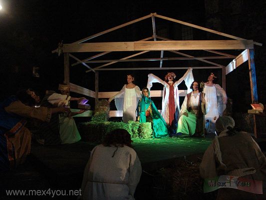 Nacimientos en la Ciudad de MÃ©xico /  Nativity Scenes in Mexico City (07-07) 2008
Los actores, actrices, animales y mÃºsica crean una atmÃ³sfera especial que hace que niÃ±os y adultos se conmuevan al ver estos hermosos nacimientos en vivo.

The actors, actresses, animals and music creates a special atmosphere that makes children and adults were moved to see these beautiful live Nativity Scenes.
Keywords: nacimientos nativity scenes paseo reforma avenue mexico city navidad xmas christmas