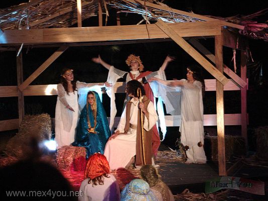 Escenas NavideÃ±as en el D.F. / Xmas Scenes in Mexico City (02-04)
Keywords: navidad xmas christmas nativity scenes ciclying rider ciudad mexico city