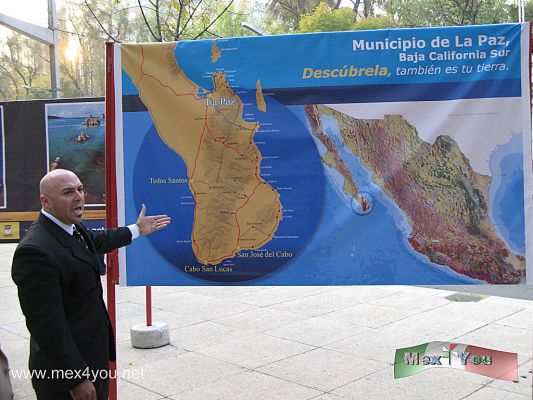 ExposiciÃ³n " La Paz" Baja California en el Paseo de la Reforma (02-03)
La exposiciÃ³n muestra la riqueza natural del Municipio de La Paz en lugares especÃ­ficos como lo son la ciudad de La Paz, Isla EspÃ­ritu Santo, Todos Santos Pueblo MÃ¡gico y Punta Pescadero en la regiÃ³n de Cabo del Este.

Se exhiben fotografÃ­as submarinas en donde se pueden apreciar cardÃºmenes de peces, el contacto con los lobos marinos, el tiburÃ³n ballena, tiburÃ³n
martillo y toda la riqueza de lo que Jacques Cousteau llamo "el acuario del mundo".

Foto de: JesÃºs SÃ¡nchez
Keywords: exposicion fotografica photo baja california la paz 