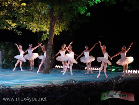 El Lago de los Cisnes en Chapultepec / The Swan Lake in Chapultepec Woods (03-05)
El Lago de los Cisnes constituye sin duda el ballet mÃ¡s conocido y popular del mundo por su concepciÃ³n, su admirable coreografÃ­a y la mÃºsica de Piotr Ilich Tchaikovski. La pieza original de esta obra se estrenÃ³ en el Teatro Bolshoi, de MoscÃº, en 1877, donde, sin embargo, no fue bien recibido. No obstante, en 1895, con la nueva coreografÃ­a de Lev Ivanov y Marius PetipÃ¡, logrÃ³ un gran Ã©xito en el Teatro Marinsky, de San Petersburgo, tambiÃ©n en Rusia.

Swan Lake is undoubtedly the best known and most popular ballet in the world for its design, wonderful choreography and the music of Pyotr Ilyich Tchaikovsky. The original part of this work was premiered at the Bolshoi Theater in Moscow in 1877, where, however, was not well received. However, in 1895, with new choreography by Lev Ivanov and Marius Petipa, achieved great success in the Marinsky Theater, St. Petersburg, in Russia.
Keywords: lago cisnes swan lake chapultepec bosque woods isleta ballet tchaikovsky
