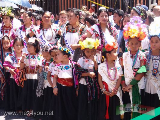 Inicia la Flor mÃ s Bella del Ejido / The most Ejido Beautiful Flower 2009 (02-07)
Durante la 224 ediciÃ³n de esta fiesta, participan 52 jÃ³venes representantes de las delegaciones Gustavo A. Madero, Iztapalapa, Tlalpan, TlÃ¡huac, Milpa Alta y Xochimilco, tambiÃ¨n participan niÃ±as que hacen la versiÃ²n infantil de esta ya tradicional fiesta de nuestro paÃ¬s.

During the 224 edition of this festival, 52 young representatives of participating delegations Gustavo A. Madero, Iztapalapa, Tlalpan, TlÃ¡huac, Milpa Alta and Xochimilco, which also involved girls infant version of this traditional festival of our country.

		
Keywords: flor bella ejido xochimilco flower beautiful
