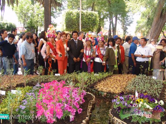 Inicia la Flor mÃ s Bella del Ejido / The most Ejido Beautiful Flower 2009 (05-07)
Asimismo, Uriel GonzÃ¡lez, en compaÃ±Ã­a de la directora del Consejo de los Pueblos y Barrios Originarios del Distrito Federal, Fabiola Poblano Ramos, dieron un recorrido por una maqueta que simboliza a Xochimilco y a sus embarcaderos. 

Also, Uriel Gonzalez, accompanied by the director of the Council of Peoples and originally from Mexico City, Fabiola Poblano Ramos, gave a tour of a model that symbolizes Xochimilco and its jetties.
Keywords: flor bella ejido xochimilco flower beautiful