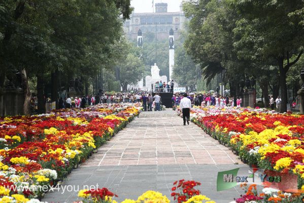 Record Guiness " El Tapete de Flores mÃ¡s largo del Mundo" / The Flowers carpet  world's largest  (01-04)
El domingo 29 de agosto se dieron cita miles de flores en el bosque de chapultepec, con el objeto de lograr estable un record guiness con el tapete de flores elaborado en el Bosque de Chapultepec con casi dos kilometros de largo. Todo esto como parte de los festejos del bicentenario para compartir con la gente asistente. 


Photo by: JesÃºs SÃ¡nchez. 
Keywords: record guiness tapete flores largo mundo flower flowers carpet ciudad mexico city monumento niÃ±os heroes heroe children chapultepec woods bosque