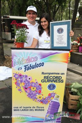 Record Guiness " El Tapete de Flores mÃ¡s largo del Mundo" / The Flowers carpet  world's largest  (04-04)
El record Guiness fuÃ© organizado y propuesto por la marca Fabuloso de Palmolive la marca lÃ­der en el mercado de limpiadores lÃ­quidos de fragancia por mÃ¡s de 20 aÃ±os, que cuenta con productos de la mÃ¡s alta calidad, Ãºnicos en el mercado por su efecto limpiador y por sus exclusivos aromas que duran por mÃ¡s de 18 horas. 

El reconocimiento de record Guiness para el tapete fue entregado en un acto al que asistieron representantes de palmolive, y presidido por la cantante y actriz Patricia Manterola y el conductor de television Juan Jose Origel.



Photo by:JesÃºs SÃ¡nchez. 
Keywords: record guiness tapete flores largo mundo flower flowers carpet ciudad mexico city monumento niÃ±os heroes heroe children chapultepec woods bosque
