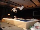 17-02-2010-08.jpg