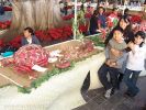 Filename=23-12-2008-04.jpg
Filesize=269KiB
Dimensions=1067x800
Date added=Dec 24, 2008 23-12-2008-04.jpg