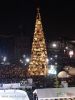 Filename=30-11-2008-03.jpg
Filesize=144KiB
Dimensions=768x1024
Date added=Nov 29, 2008 30-11-2008-03.jpg